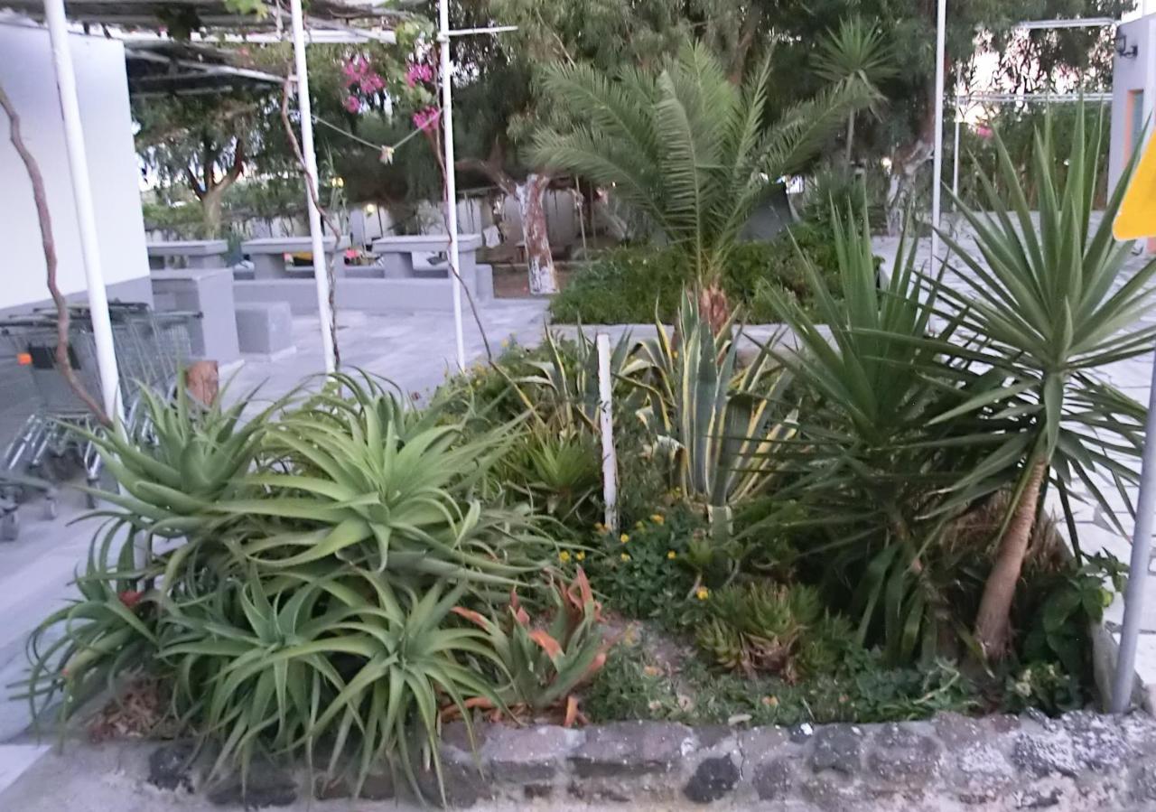 Santorini Camping & Hostel Fira  Ngoại thất bức ảnh