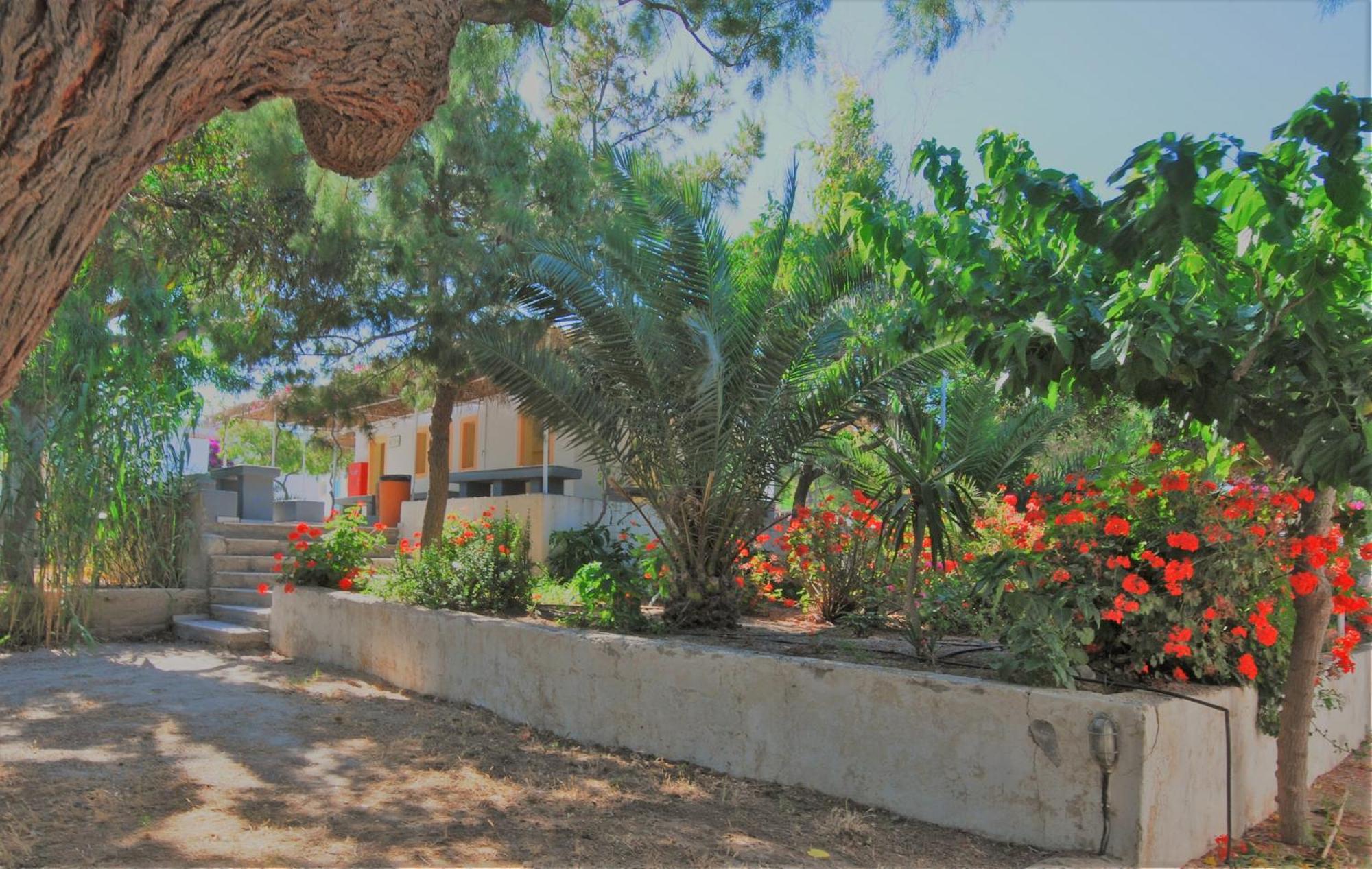 Santorini Camping & Hostel Fira  Ngoại thất bức ảnh